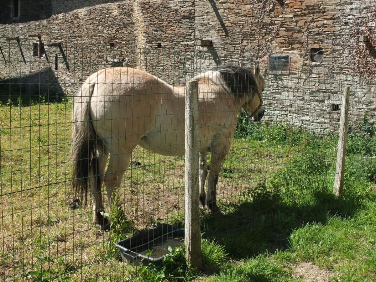 Gite De La Bucaille Planquery Esterno foto